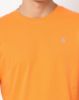 Image de T shirt coton bio-wash col rond XL MANGUE