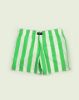 Image de Short de bain larges rayures L VERT