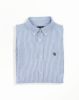 Image de Chemise regular fit Oxford fines rayures L Campus
