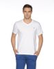 Previous